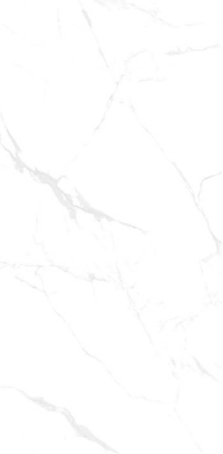 NT Ceramic Callacata Carving NTT99607M 60x120