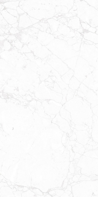 NT Ceramic Marmo Impero Carving 60x120
