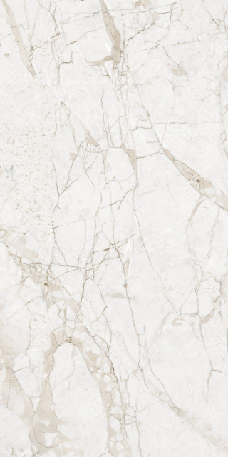 NT Ceramic Marmo Impero Grey Carving 60x120