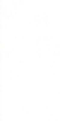 Zodiac Ceramica Morandi Zero-M 60x120