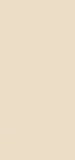 Zodiac Ceramica Mirage Beige Polished (6 мм) 120x260