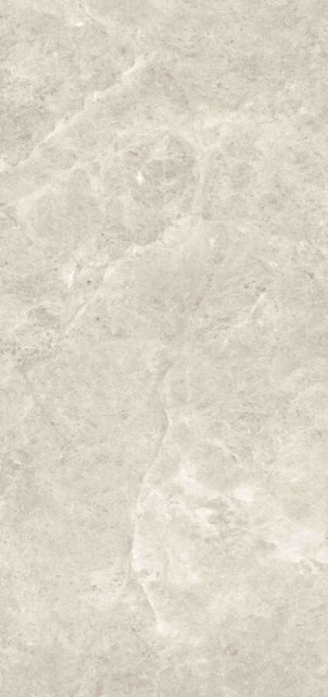Zodiac Ceramica Platinum Leica Polished (6 мм) 120x260