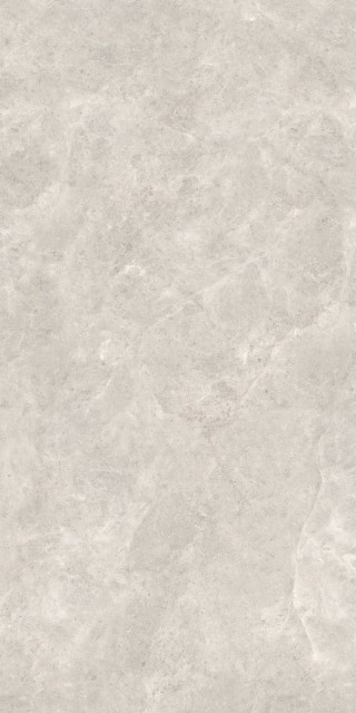 Zodiac Ceramica Platinum Leica Matt (6 мм) 160x320
