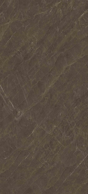 Zodiac Ceramica Pisa Grey Polished (6 мм) 120x260