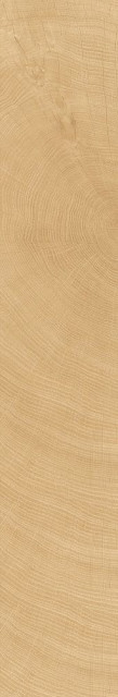 Zodiac Ceramica Tree-Ring Бежевый 25x150