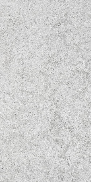 RAK Ceramics Coral Stone Light Grey R10 60x120