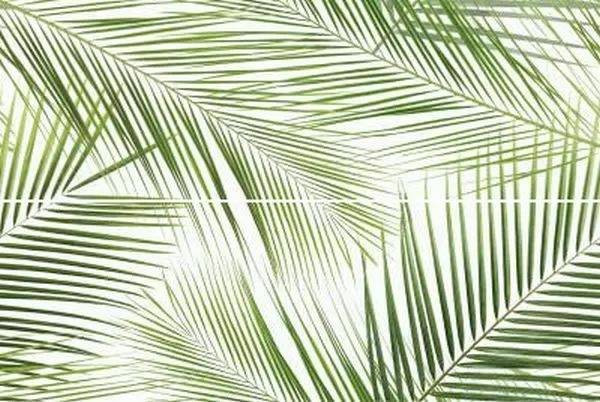 Ceramika Konskie Brennero Tropic Панно 50x75