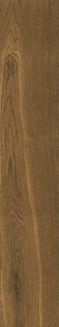 Cerrad Giornata Marrone 60x11