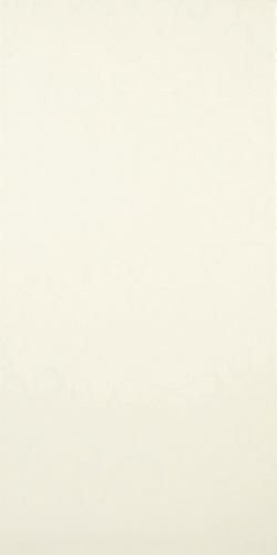 Polcolorit Saloni Beige 25X50