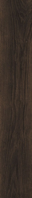 Atlas Concorde Eligo Dark Brown Ret 20х120