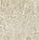 Atlas Concorde Russia Force Ivory Bottone Lap 7,2X7,2