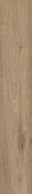 Atlas Concorde Russia Fusion Oak Golden Matt 20x120H0.9