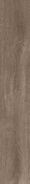 Atlas Concorde Russia Fusion Oak Rustic Matt 20x120H0.9
