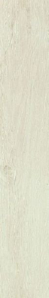 Atlas Concorde Frame Magnolia Rett 20x120