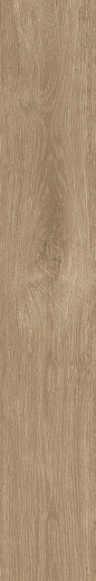 Atlas Concorde Russia Fusion Oak Golden Grip 20x120H0.9