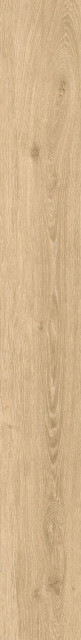 Atlas Concorde Russia Wine Oak Champagne Mat Ret 20x160