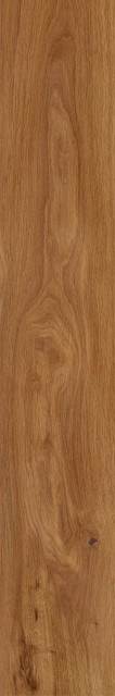 Creto Forest Amber 19.4x120