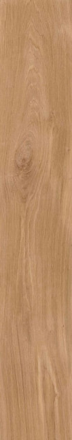 Creto Forest Mild 19.4x120