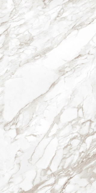 Creto Dolomiti Polished 80x160