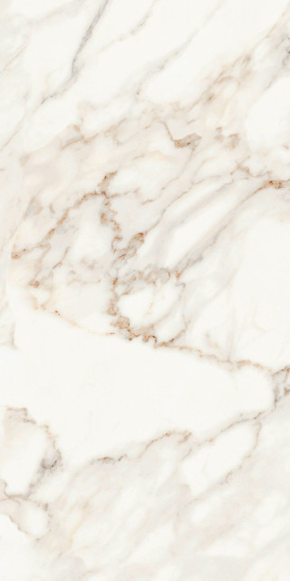 Creto Calacatta Polished 60x120