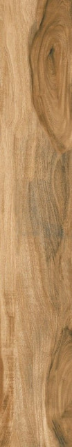 Idalgo Avellano Brown 19.5x120