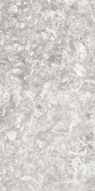 Idalgo Lunar Light Grey MR 60x120