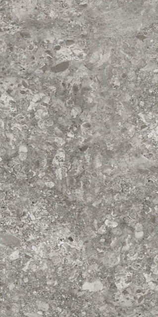 Idalgo Lunar Grey MR 60x120