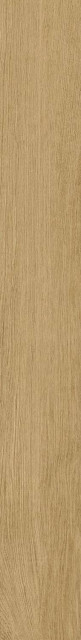 Italon Aura Classic Gold Nat Ret 20x160H0.9