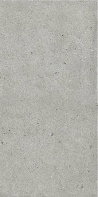 Italon Avantgarde Silver Ret 20mm 60x120H2