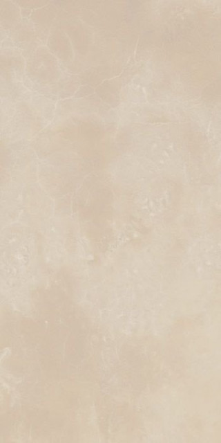 Italon Charme Evo Floor Onyx Lux Rett 44х88