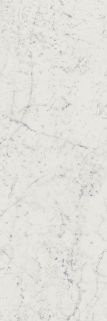 Italon Charme Extra Carrara Alzata 15x25