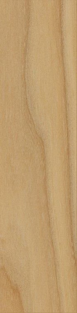 Italon Element Wood Olmo 20x120