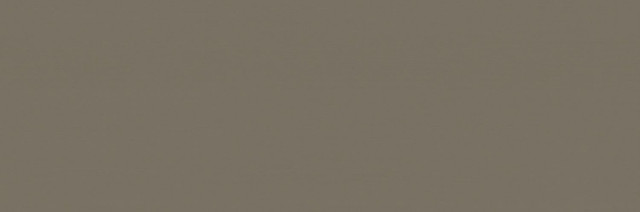 Italon Element Silk Terra 25x75