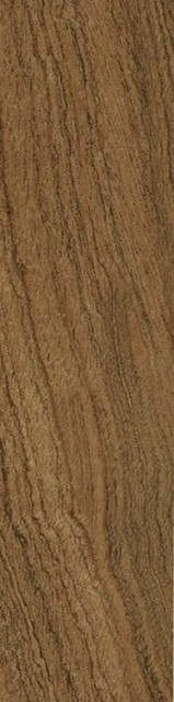 Italon Element Wood Mogano 20x120