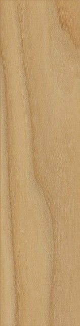 Italon Element Wood Olmo 7,5х30