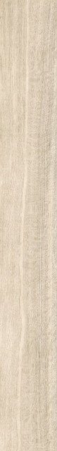 Italon Eternum Acero 20x160
