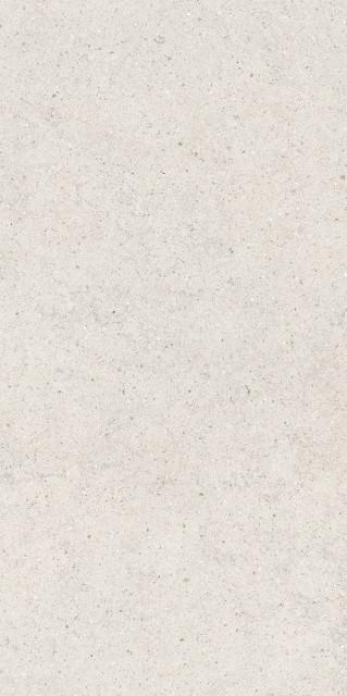 Italon Forum Stone Polar Matt Rect 60x120H0.9
