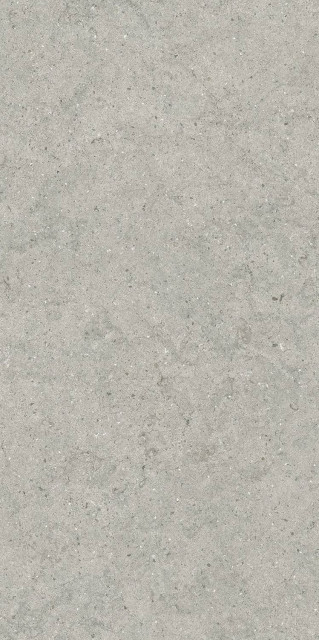 Italon Forum Stone Silver Matt Rect 60x120H0.9