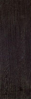 Italon Greenlife Wenge 19,5х59