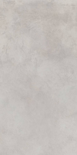 Italon Millennium Silver Ret 20mm 60x120H2