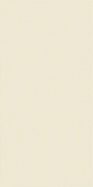Italon Room Beige Texture 80x40