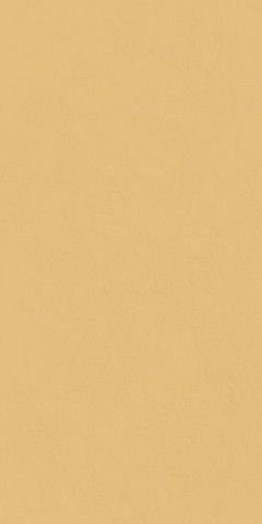 Italon Surface Sun Pat 60x120