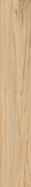 Kerranova Alleya Honey SR 20x120