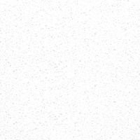 1111 Stella Lucida (Blossom White)