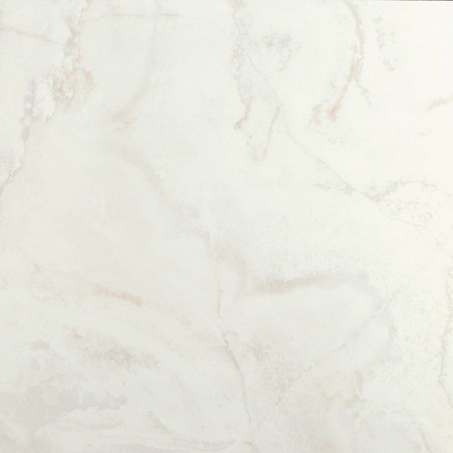 Bien Wild Onyx Ice Rec 60x60