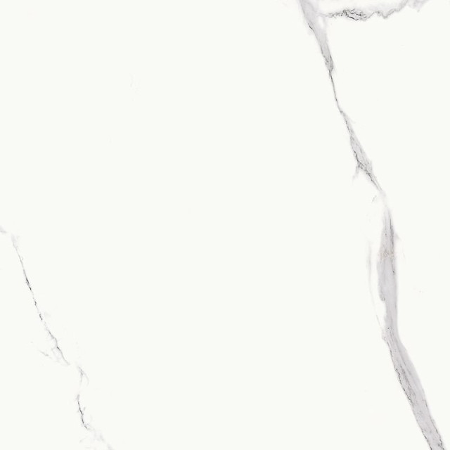 Bien Statuario Goya Matte Rec 60x60