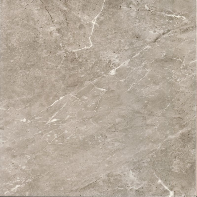 Bien Imperial Glossy Grey Rec 60x60