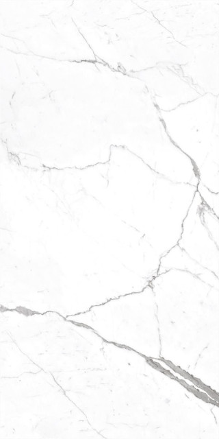 Decovita Calacatta Pearl Satin Mat 60x120