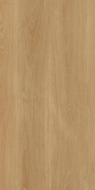 Protiles Albero Beige Matt 60x120H0.9